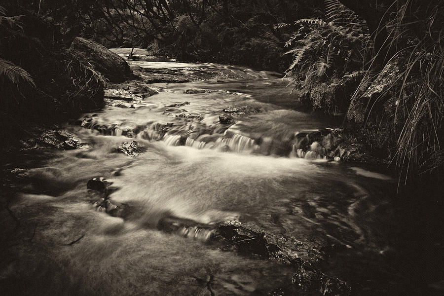 Mono Photograph - Jamison Creek by Geoff Smith