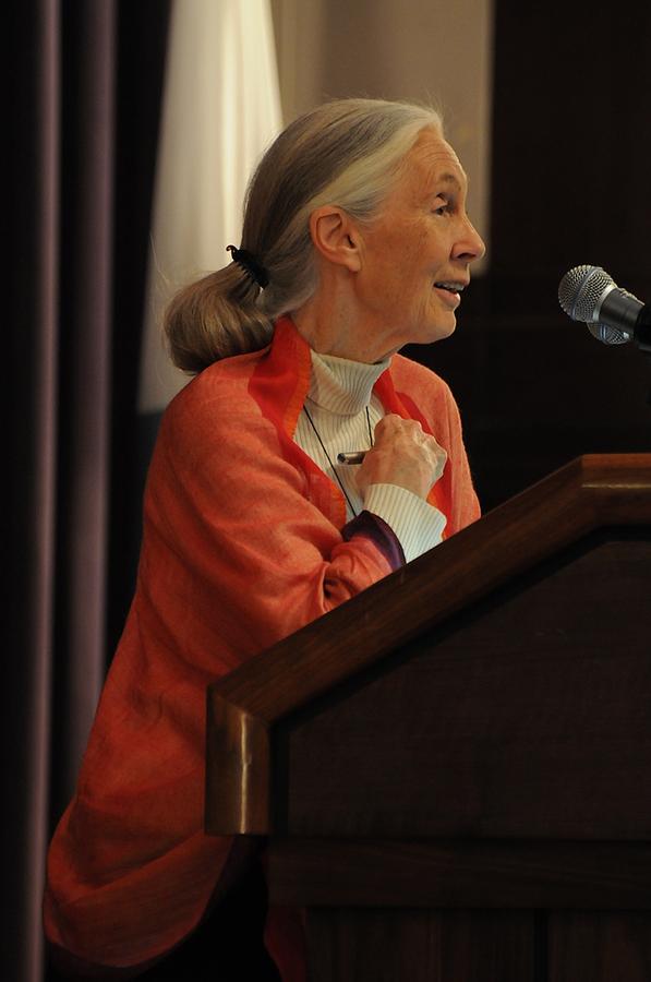 Jane Goodall B. 1934 Lecturing Photograph By Everett - Fine Art America