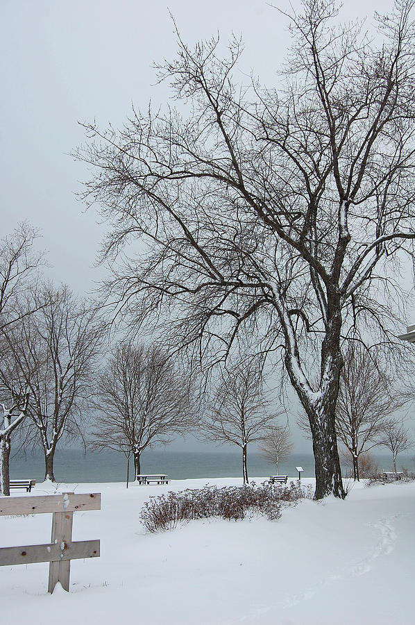 Winter Photograph - January Skies by Colleen English