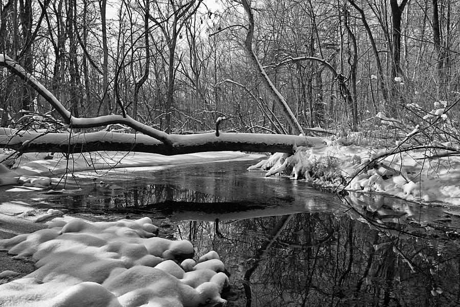 January Stream Photograph by CJ Schmit