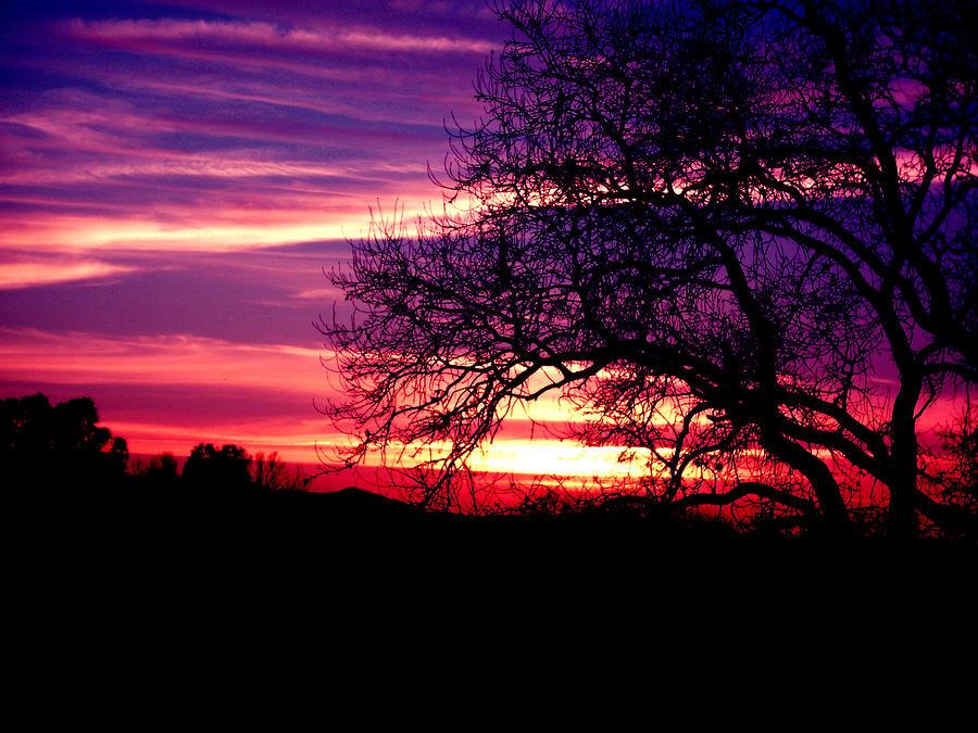 January Sunset Photograph by Robert Hooper Fine Art America