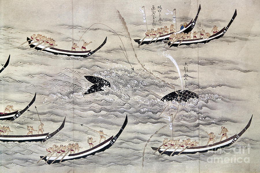 JAPAN: WHALING, c1800 Photograph by Granger