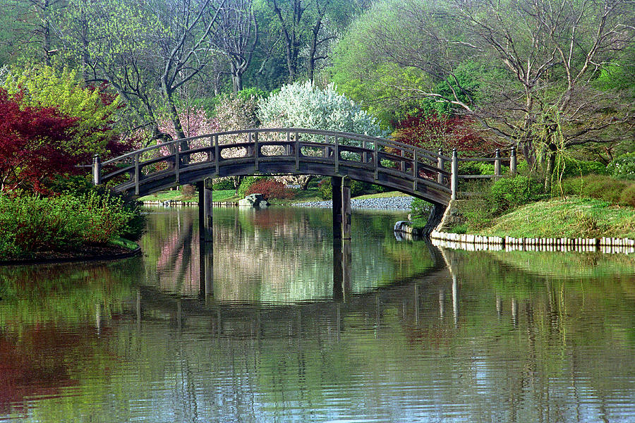 Japanese Bridge In Springtime Photograph by Greg Matchick