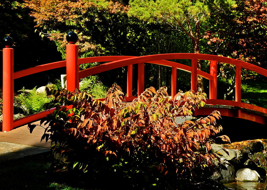 Japanese Bridge Over Pond Photograph by Kirsten Giving