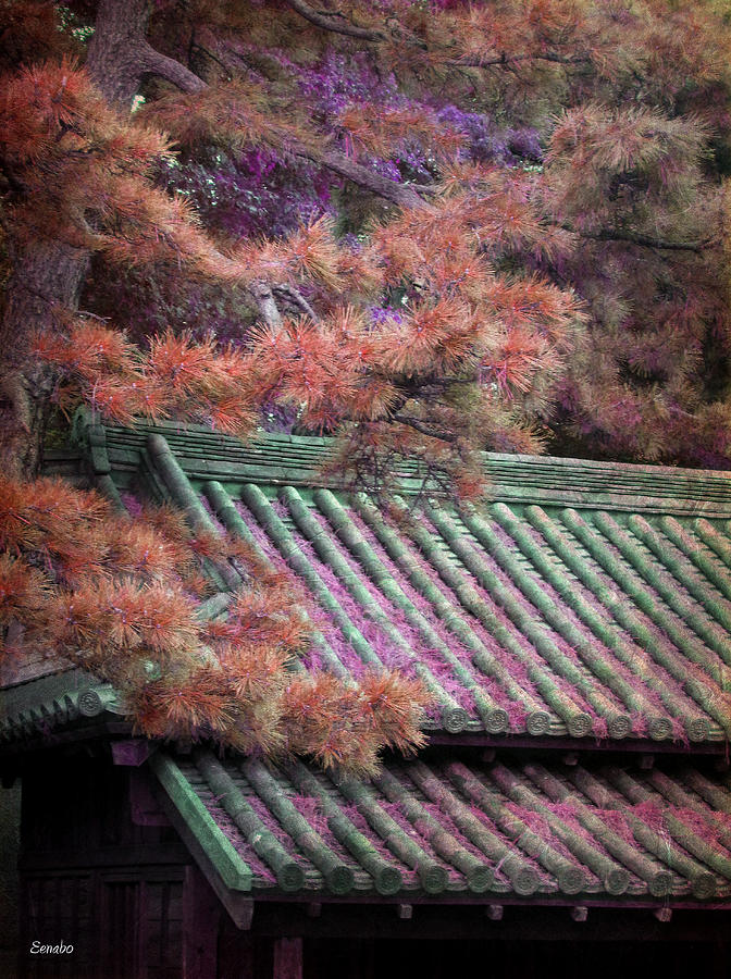 Japanese Dream Photograph by Eena Bo