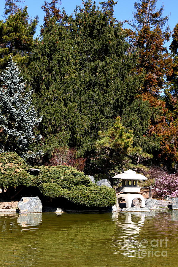 Japanese Friendship Garden San Jose California 7d12785