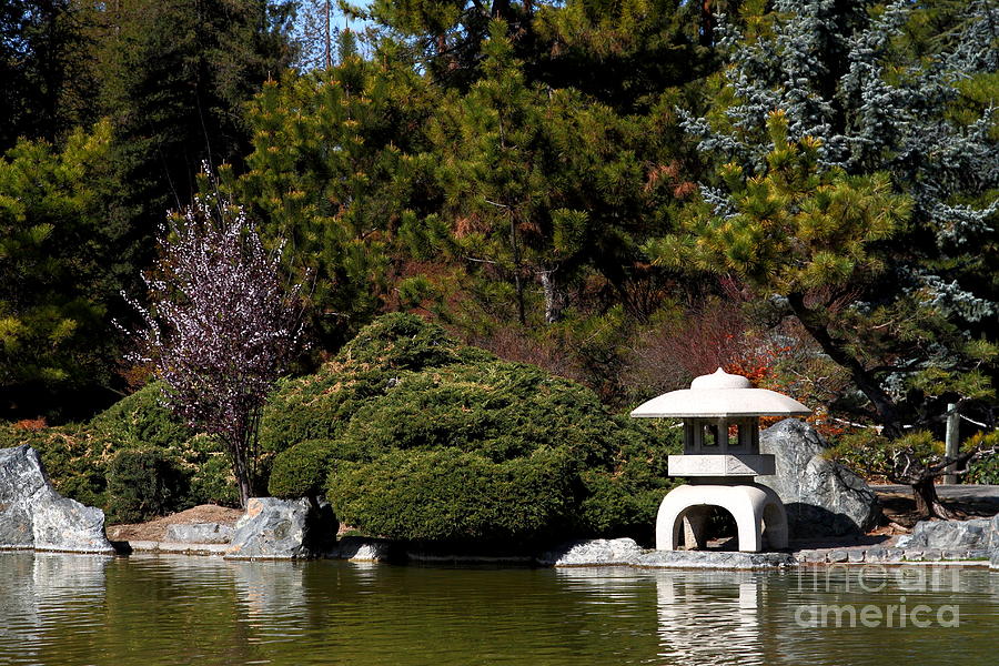 Japanese Friendship Garden San Jose California 7d12780 Photograph By Wingsdomain Art And Photography