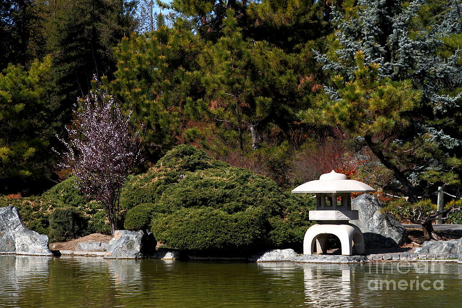 Japanese Friendship Garden San Jose California 7d12780