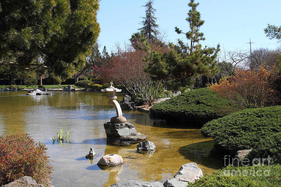 Japanese Friendship Garden San Jose California 7d12793