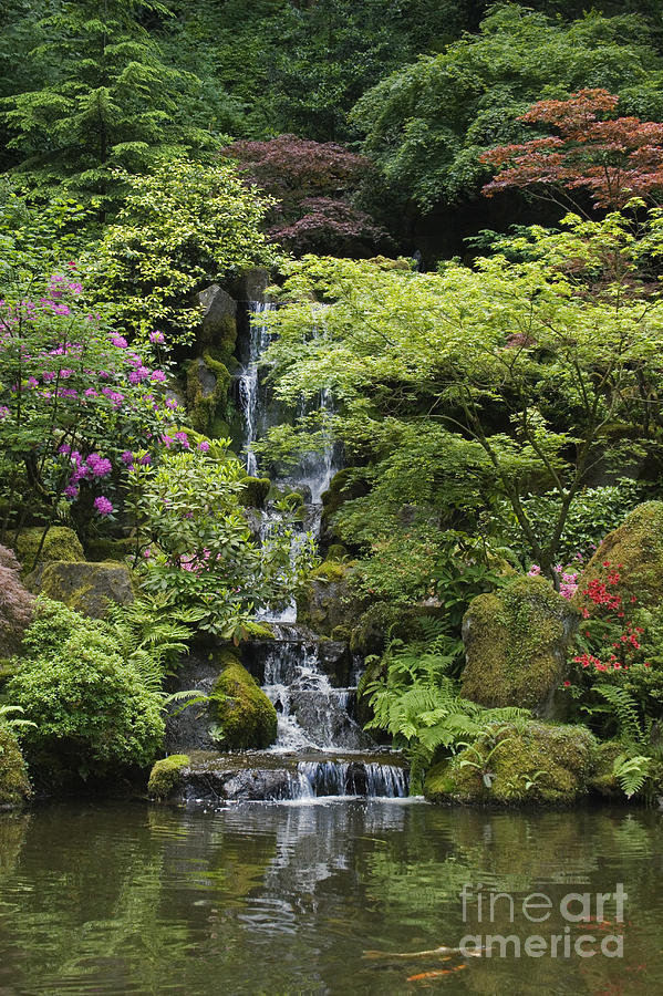 Japanese Garden - Portland Oregon Photograph by Craig Lovell