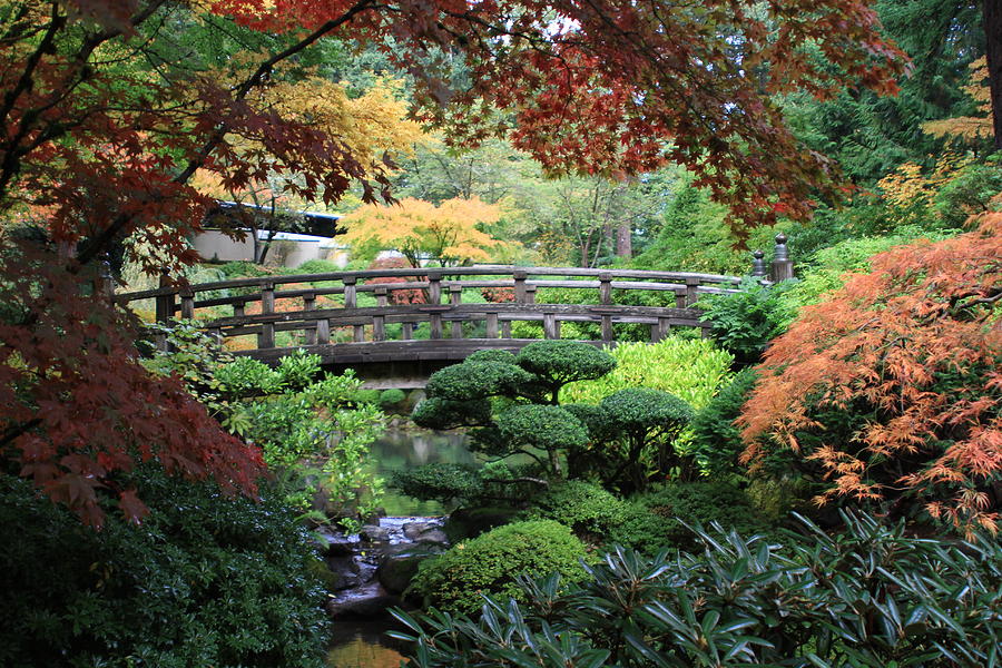 Japanese Garden 2 Photograph by Lora Speiser - Fine Art America