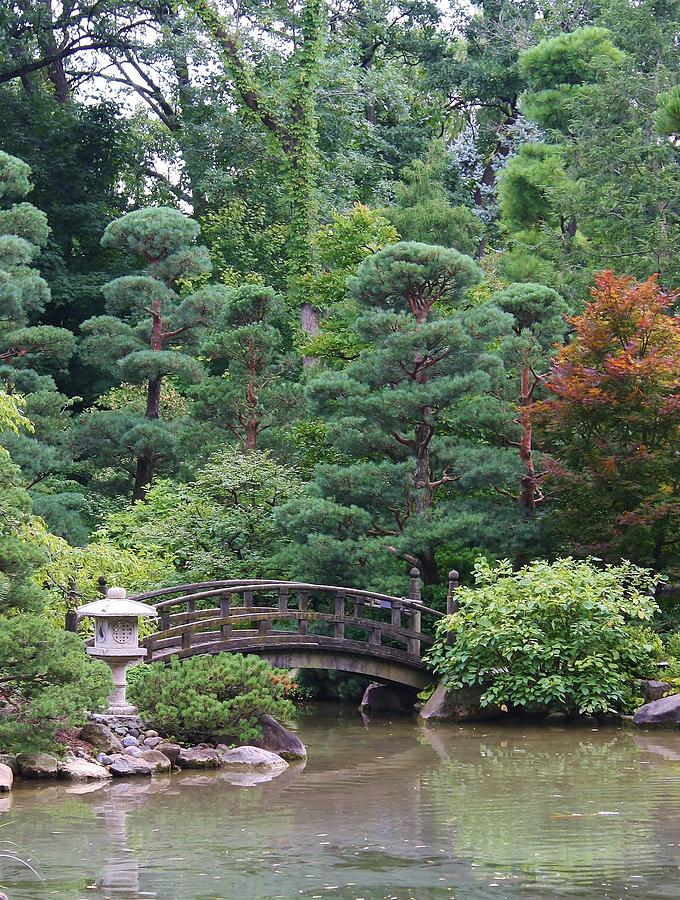 Japanese Garden Photograph by Bruce Bley