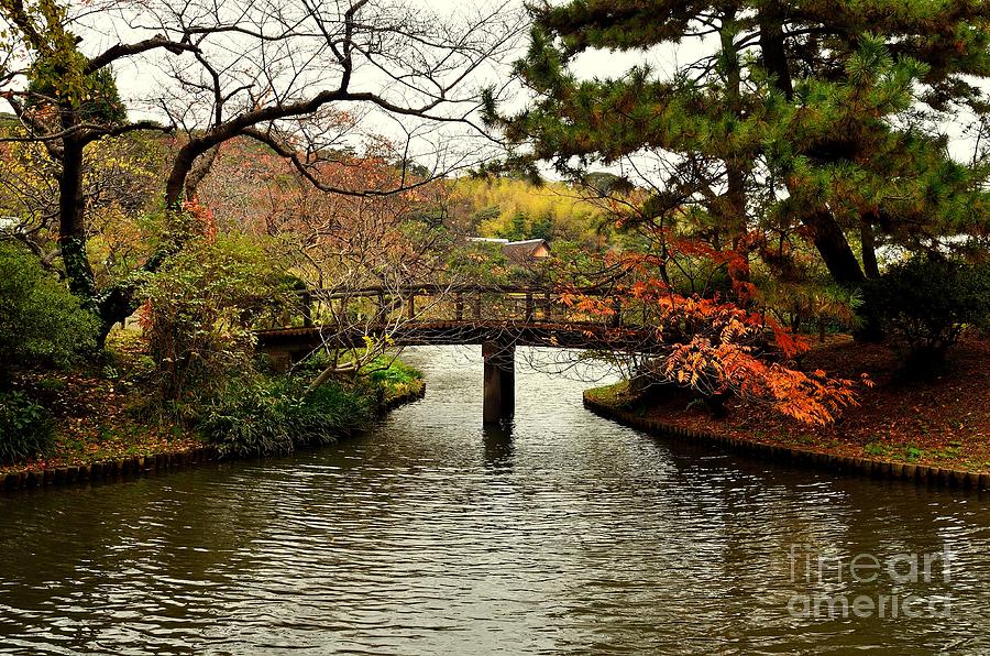 Japanese Garden in Autumn 1 Photograph by Dean Harte