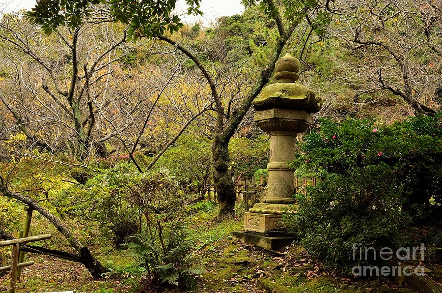 Japanese Garden in Autumn 2 Photograph by Dean Harte