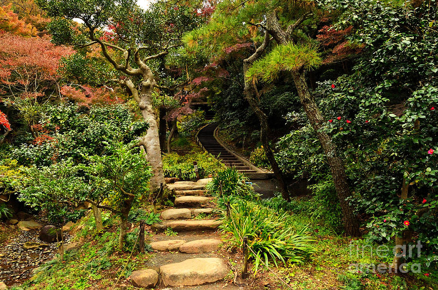Japanese Garden in Autumn 8 Photograph by Dean Harte