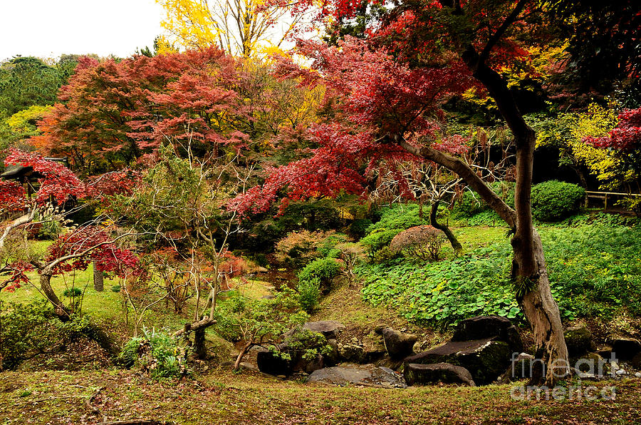 Japanese Garden in Autumn 9 Photograph by Dean Harte