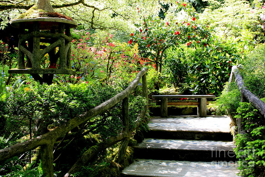 Japanese Garden Retreat Photograph by Carol Groenen