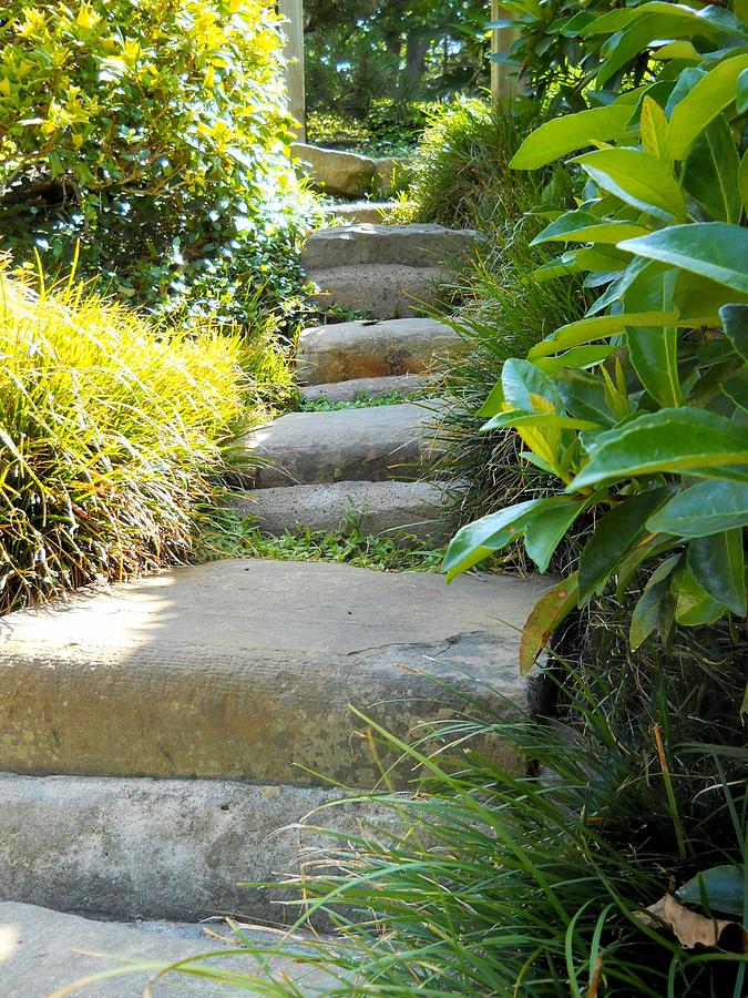 Lynnette Photograph - Japanese Garden Stone Steps by Lynnette Johns