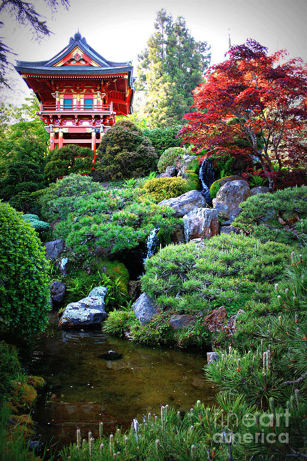 Japanese Garden with Pagoda and Pond Photograph by Carol Groenen