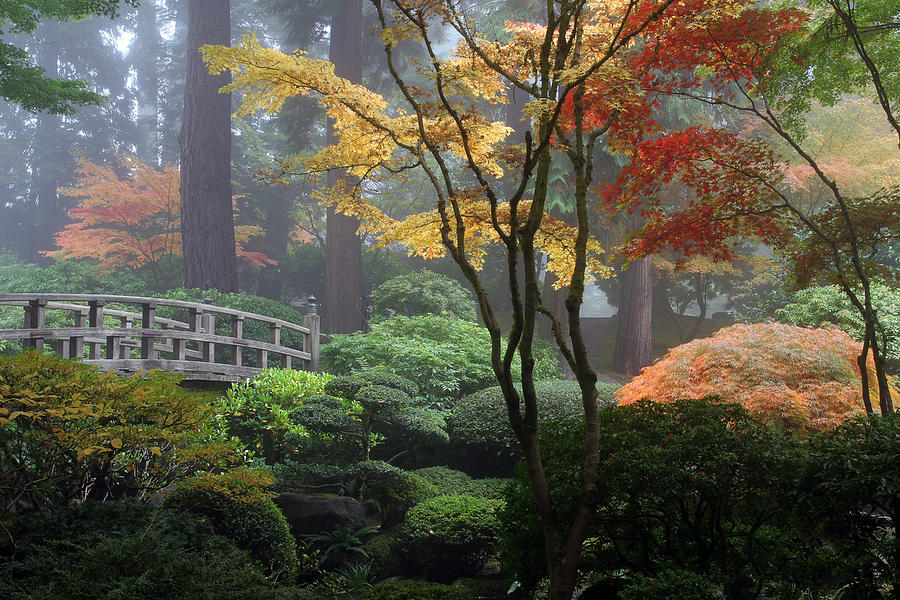 Japanese Gardens Fall Photograph by Wes and Dotty Weber