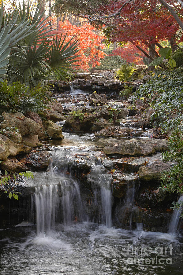 Waterfall in the Japanese Gardens, Ft. Worth, Texas Photograph by Greg Kopriva