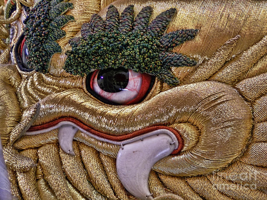 Japanese Golden Dragon Photograph by Alexandra Jordankova