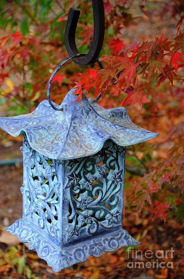 Japanese lantern in garden Photograph by Jim And Emily Bush