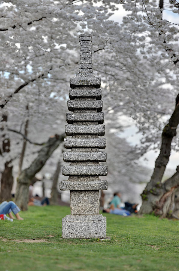 Japanese Pagoda at the Cherry Blossoms Washington DC Photograph by Metro DC Photography
