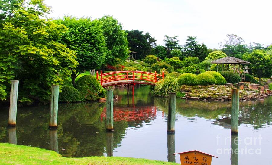 Garden Photograph - Japanese Reflections by Therese Alcorn