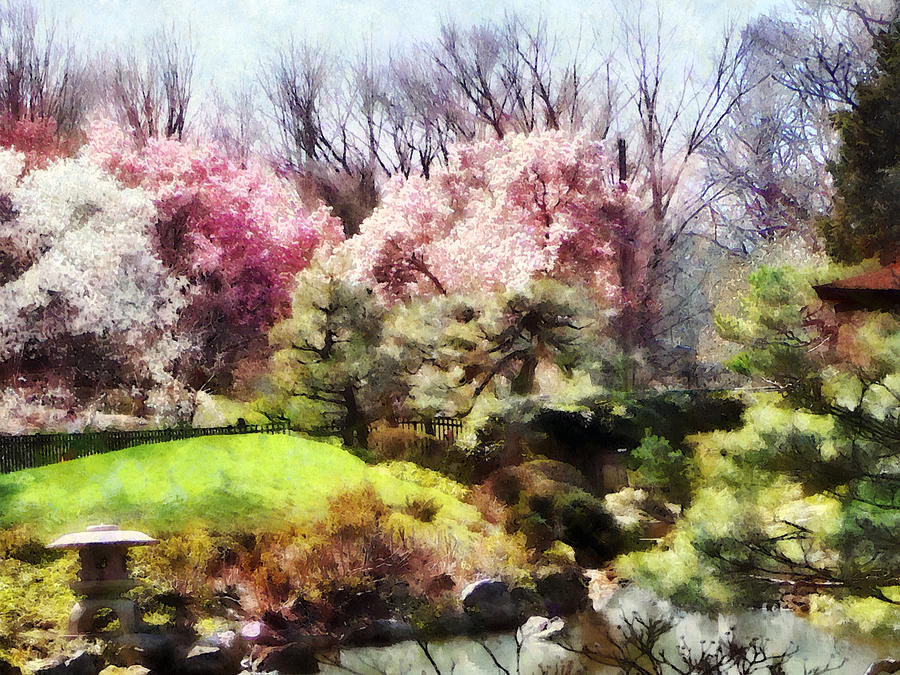 Spring Photograph - Japanese Spring by Susan Savad