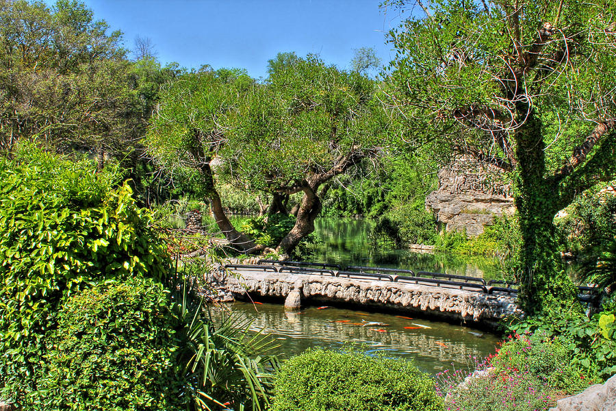 Japanese Sunken Gardens by Sarah Broadmeadow-Thomas