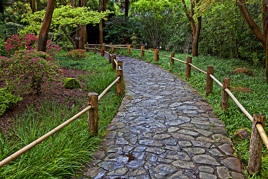 Japanese tea garden path Photograph by Garry Gay