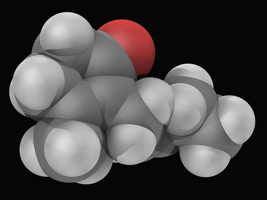 Jasmone Molecule Digital Art by Laguna Design