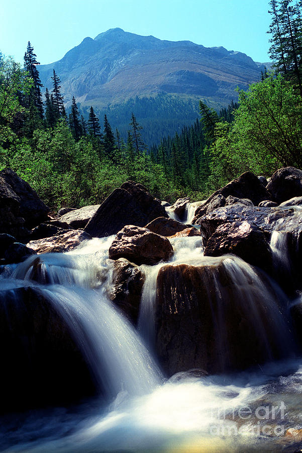 Jasper National Park Photograph - Jasper - Fiddle River by Terry Elniski