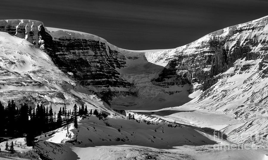 Jasper National Park Photograph - Jasper - Snow Dome Monochrome by Terry Elniski