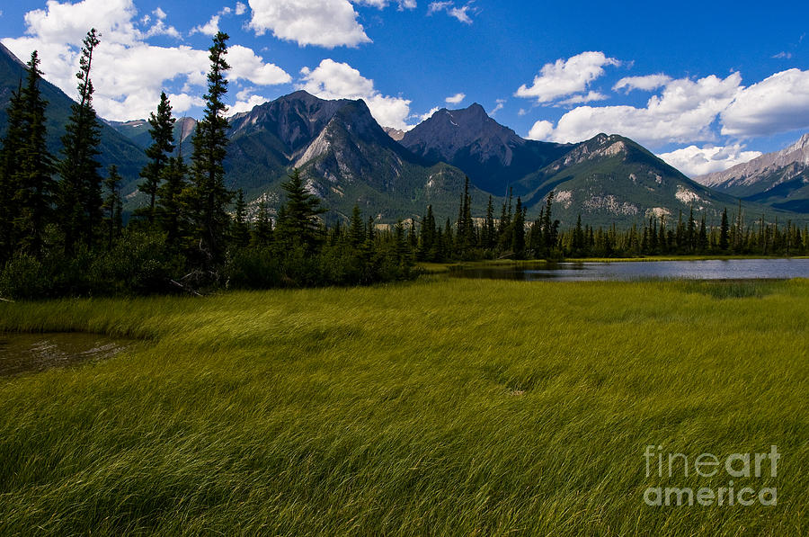 Jasper National Park Photograph - Jasper - Summers Day by Terry Elniski