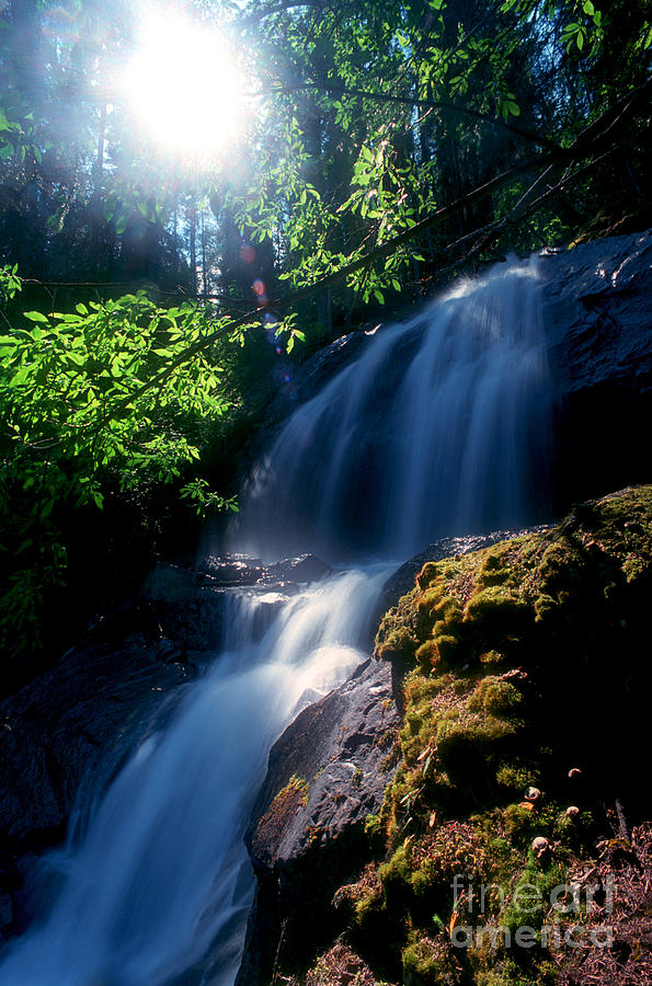 Jasper National Park Photograph - Jasper - Waterfall Spectacular by Terry Elniski