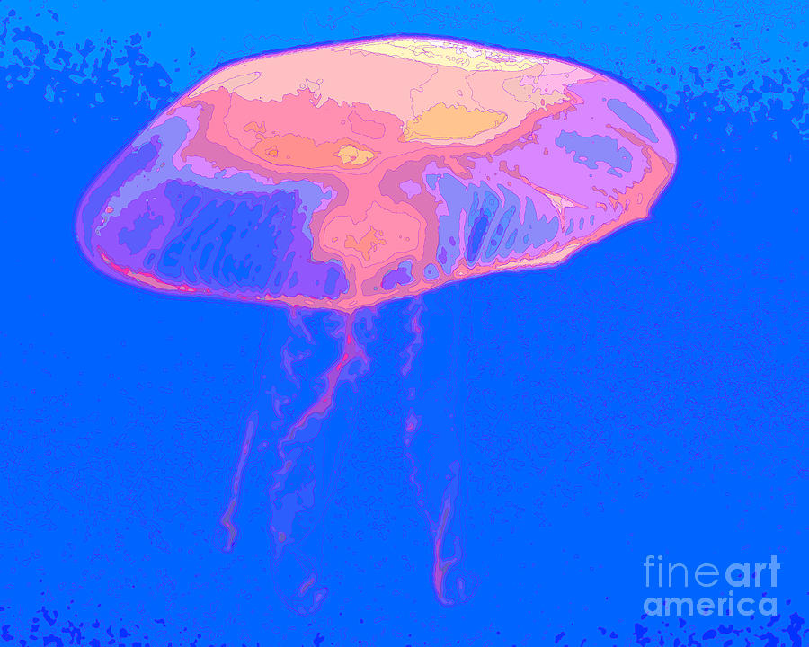 Jazzy Jelly Photograph by Al Powell Photography USA