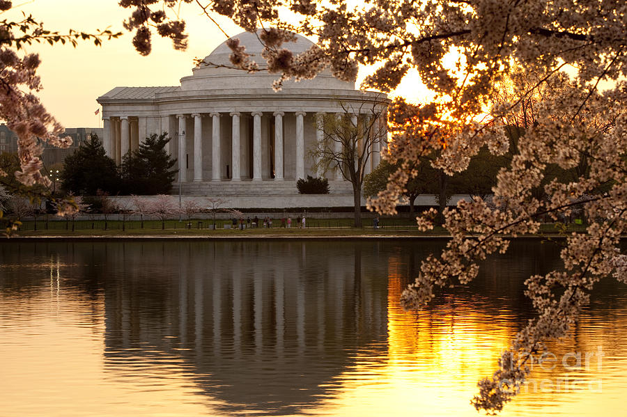 Jefferson Memorial At Dawn Photograph
