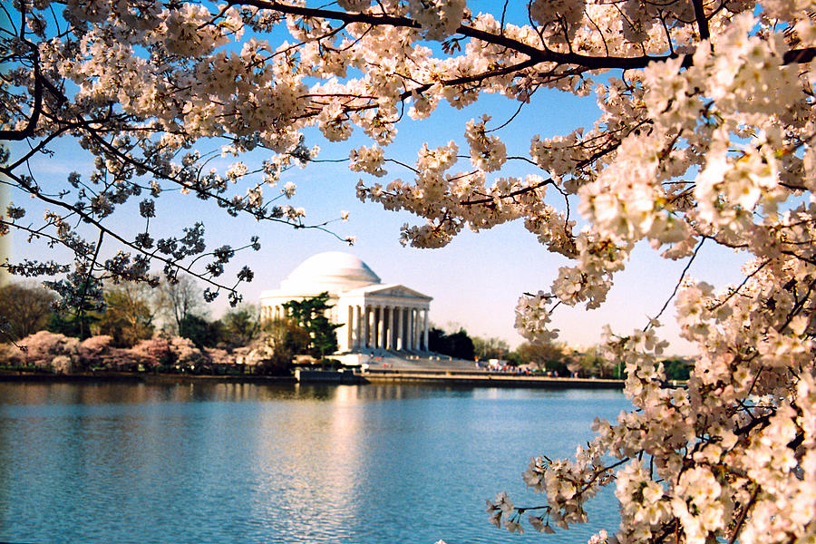 Jefferson Memorial Photograph by Claude Taylor