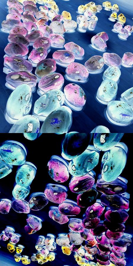 Abstract Digital Art - Jelly Bean Jewels 6 by Randall Weidner