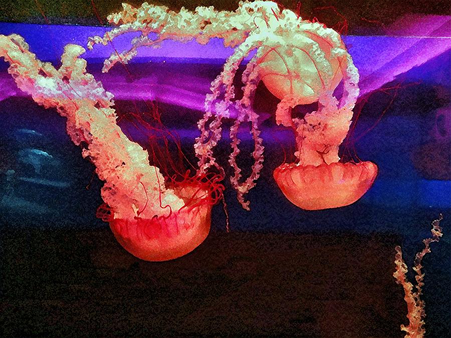 Jellyfish Dance Digital Art by Barkley Simpson