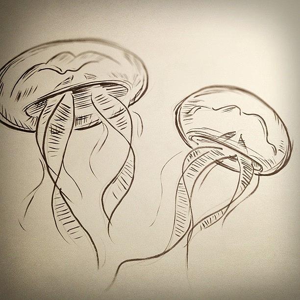 Brush Photograph - #jellyfish #drawing by Jeff Reinhardt