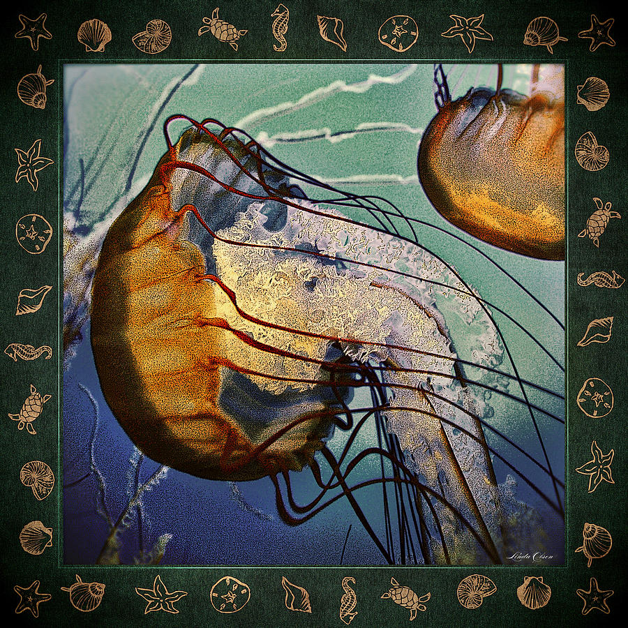Jellyfish Turning RAD Photograph by Linda Olsen