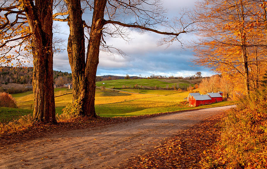 Jenne Farm Woodstock Vermont | Digitalvaluefeed