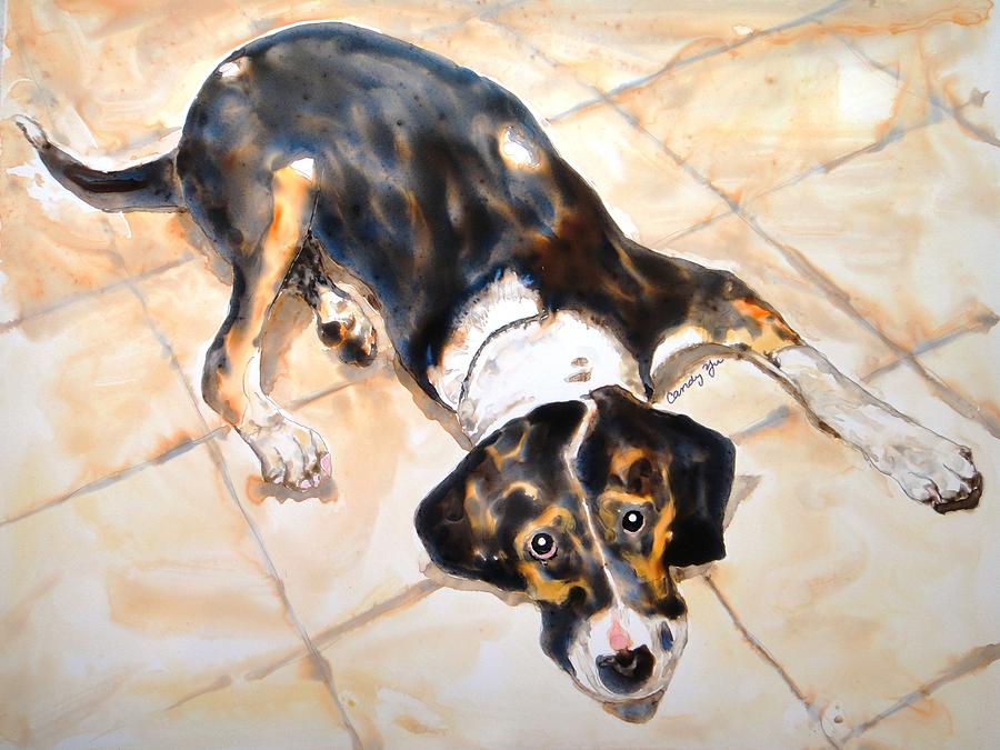 Dog Painting - Jennifers Maggie by Candy Yu