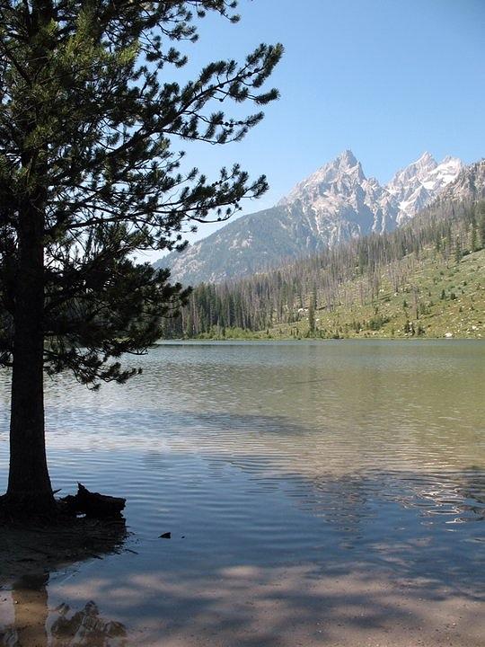 Jenny Lake and the Beauty of the Grand Tetons Photograph by Shawn Hughes