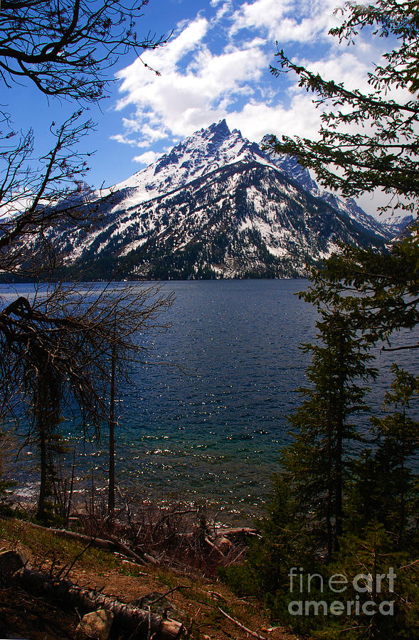 Jenny Lake in the Grand Teton Area Photograph by Susanne Van Hulst