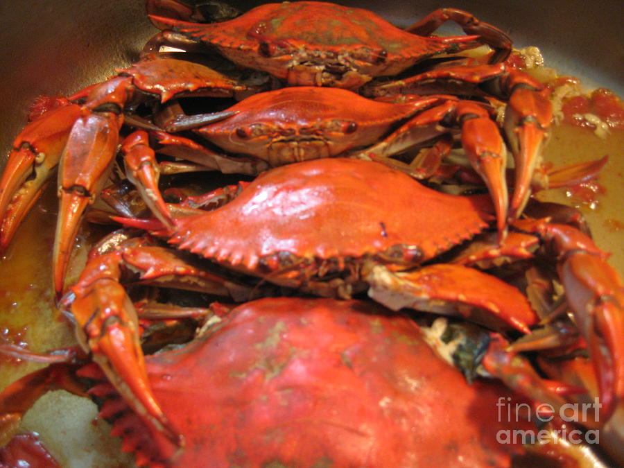 Crab Dinner Ocean Seafood  Photograph by Susan Carella