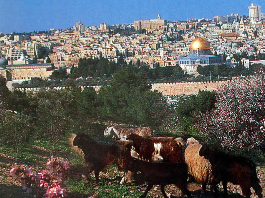 Jerusalem at Spring Photograph by Munir Alawi